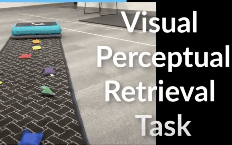 Visual Perceptual Retrieval Task | Occupational Therapy Interventions