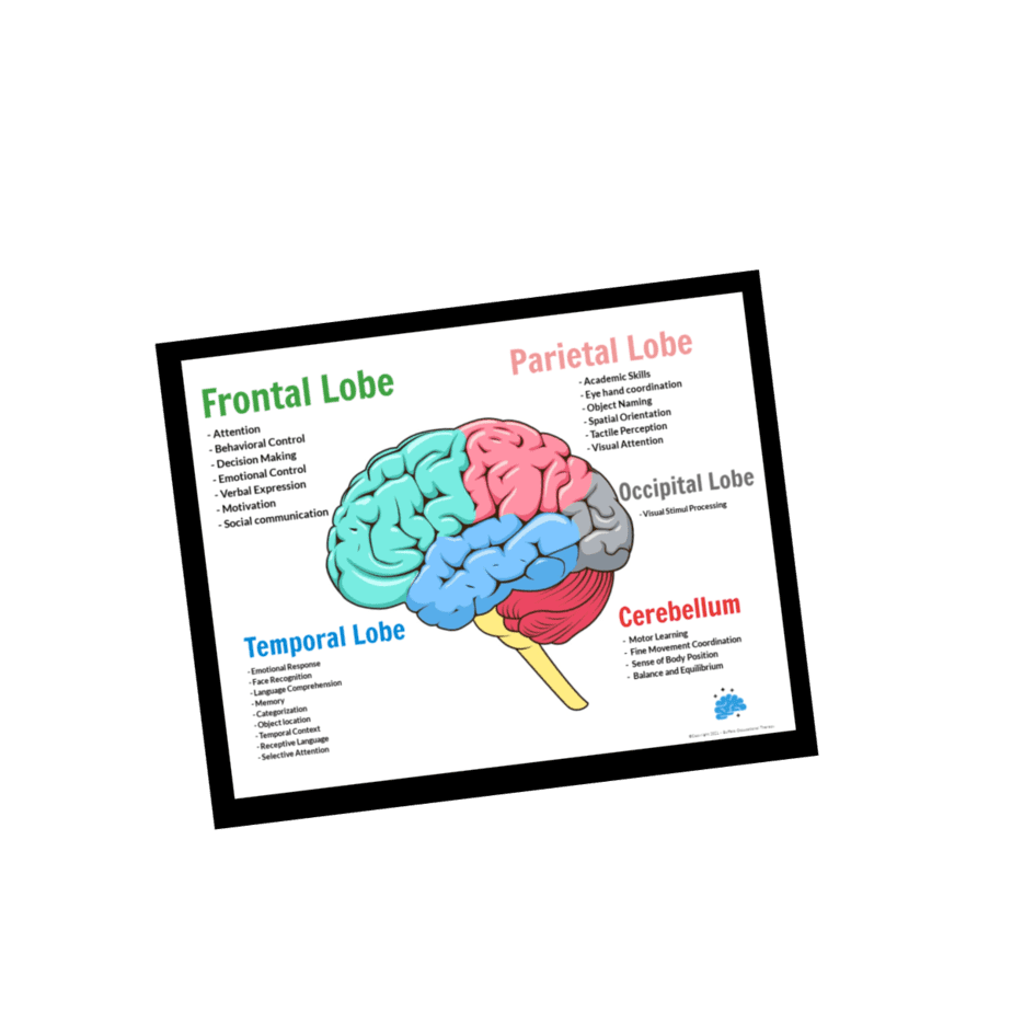 the-goal-of-cognitive-therapy-is-xasersystem