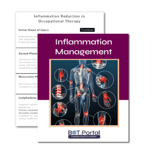 Inflammation Management Worksheet