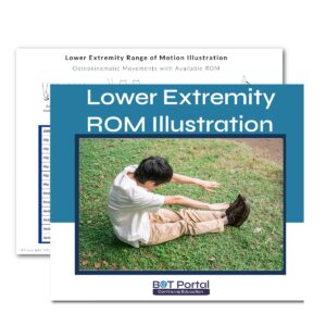 Lower Extremity Range of Motion AROM