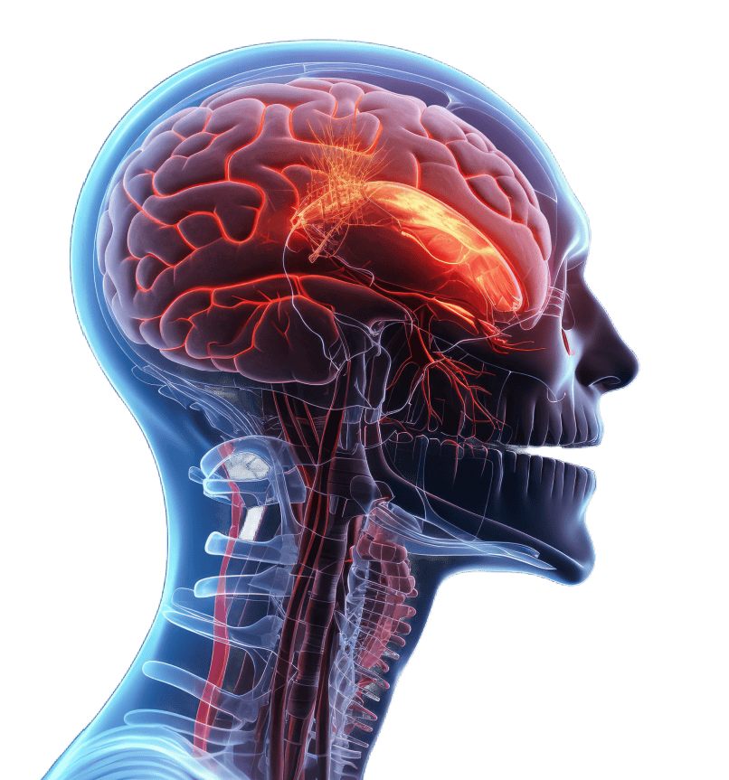 Traumatic Brain Injury Therapy in Buffalo NY 1 - Buffalo Occupational Therapy