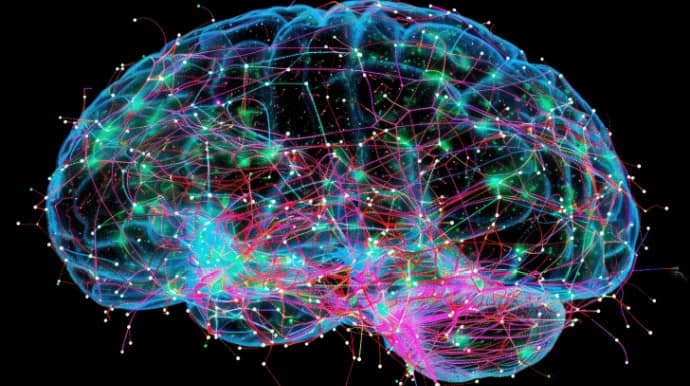 human brains connectome and network dynamics - Buffalo Occupational Therapy